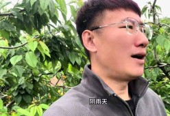 杨二狗和河南女友“2万分手费”反转网红卓越再被揭老底