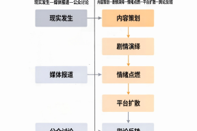 剧本式舆情分析：以“盲道摆拍被撞”事件为例
